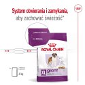 Karma Royal Canin SHN Giant Adult (15 kg )