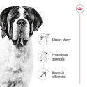 Karma Royal Canin SHN Giant Adult (15 kg )