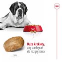 Karma Royal Canin SHN Giant Adult (15 kg )