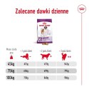 Karma Royal Canin SHN Giant Adult (15 kg )