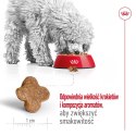 ROYAL CANIN Mini Mature 0,8kg