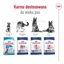 Royal Canin SHN Maxi Adult - sucha karma dla psa dorosłego - 15kg