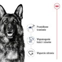 Royal Canin SHN Maxi Adult - sucha karma dla psa dorosłego - 15kg