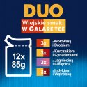 Purina Karma Felix Fantastic Duo wiejskie smaki 12x85g