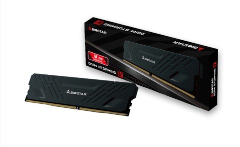 Pamięć DDR4 Biostar 8GB 3200MHz Heatsink Storming Vseries