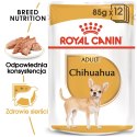 ROYAL CANIN Chihuahua - pakiet 12x85g