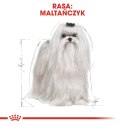 ROYAL CANIN Maltese 0,5kg