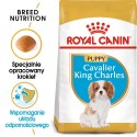 Royal Canin BHN Cavalier King Charles Spaniel Puppy - sucha karma dla szczeniąt - 1,5kg