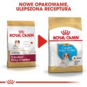 Royal Canin BHN Cavalier King Charles Spaniel Puppy - sucha karma dla szczeniąt - 1,5kg