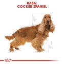 Royal Canin BHN Cocker Adult - sucha karma dla psa dorosłego - 12kg