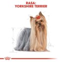 Royal Canin BHN Yorkshire Terrier Adult - sucha karma dla psa dorosłego - 7,5kg