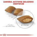 Royal Canin CCN MINI EXIGENT - sucha karma dla psa dorosłego - 3kg