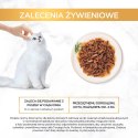 Purina GOURMET GOLD Succulent Delights Wołowina 85g