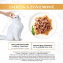 Purina Gourmet Gold Sauce Delights mokra karma dla kota z kurczakiem 85g