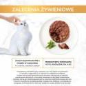 Purina Gourmet Gold Savoury Cake mokra karma dla kota z jagnięcina i zieloną fasolą 85g