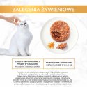 Purina Gourmet Gold Savoury Cake mokra karma dla kota z kurczakiem i marchewką 85g