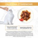 Purina Gourmet Gold Wołowina z kurczakiem w sosie pomidorowym 85g