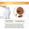 Purina Gourmet Gold mokra karma dla kota mus z wołowiny 85g