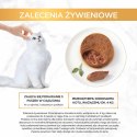 Purina Gourmet Gold mokra karma dla kota z królikiem 85g