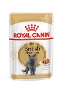 ROYAL CANIN British Shorthair pakiet 12x85g