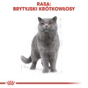 ROYAL CANIN British Shorthair pakiet 12x85g