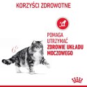 ROYAL CANIN Urinary Care in Gravy 12x85g