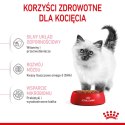 Royal Canin FHN Kitten - sucha karma dla kociąt - 4kg