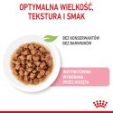 Karma ROYAL CANIN FHN Kitten Sterilised sos 12x85g