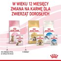 Karma ROYAL CANIN FHN Kitten Sterilised sos 12x85g