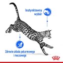 Royal Canin FHN Indoor w sosie - mokra karma dla kota dorosłego - 12x85g