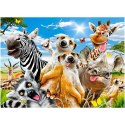 CASTORLAND Puzzle 260 elementów African Selfiey - Afrykańskie zwierzęta 8+