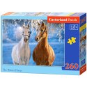 CASTORLAND Puzzle 260 elementów The winter Horses - Zimowe konie 8+