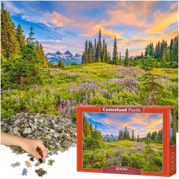 CASTORLAND Puzzle 2000 elementów Blossoms of Morning - Krajobraz 92x68cm