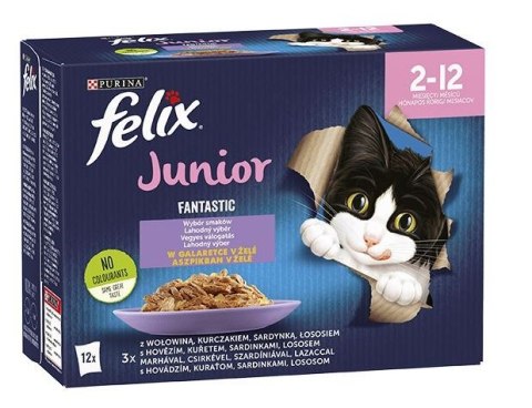 Purina Karma Felix Fantastic Junior Kurczak 12x85g