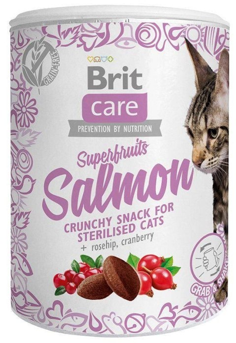 Brit Care Cat Snack Superfruits Salmon 100g