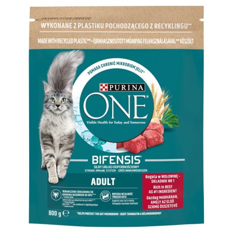 Purina ONE Adult Bogata w Wołowinę i Pełne Ziarna 800g