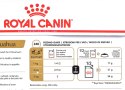 ROYAL CANIN Chihuahua - pakiet 12x85g