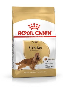 Royal Canin BHN Cocker Adult - sucha karma dla psa dorosłego - 12kg